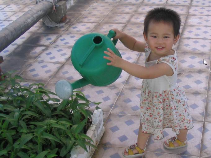 女儿虽然才一岁半，但活动能力非常强，每天来浇水时，她都要抢过我手里的晒水壶，绕着小菜土转